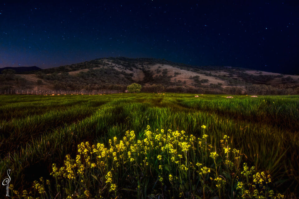 Lorestan